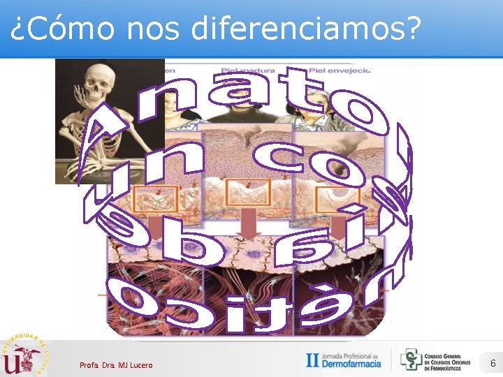 ¿Cómo nos diferenciamos? Profa. Dra. MJ Lucero 6 