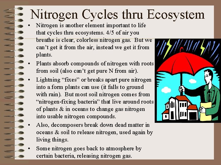 Nitrogen Cycles thru Ecosystem • Nitrogen is another element important to life that cycles