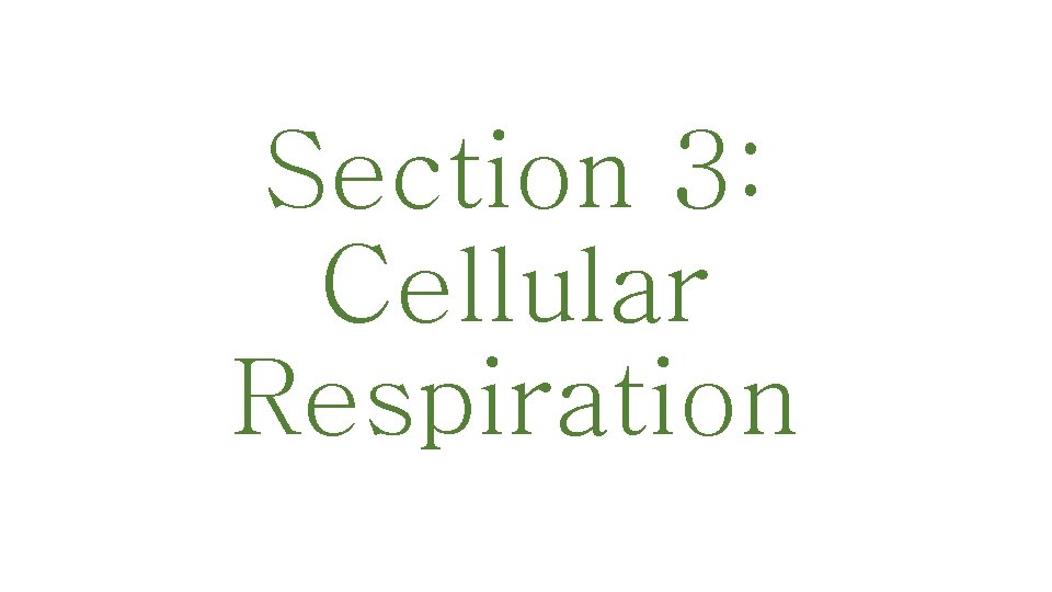 Section 3: Cellular Respiration 