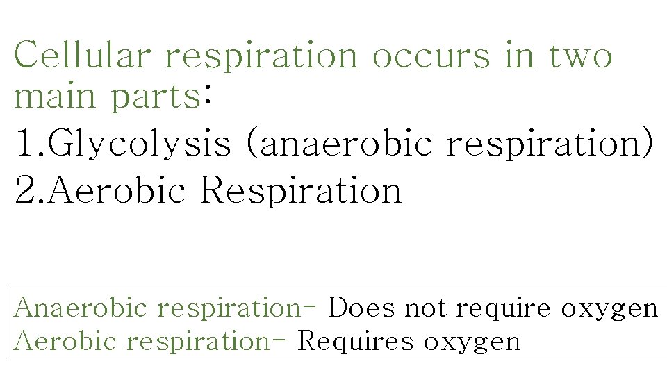 Cellular respiration occurs in two main parts: 1. Glycolysis (anaerobic respiration) 2. Aerobic Respiration