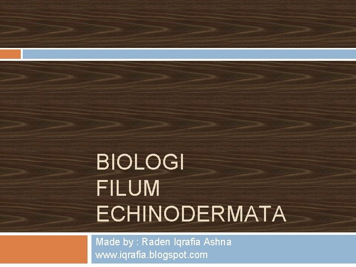 BIOLOGI FILUM ECHINODERMATA Made by : Raden Iqrafia Ashna www. iqrafia. blogspot. com 