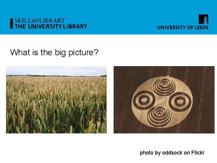 What is the big picture? photo by oddsock on Flickr 