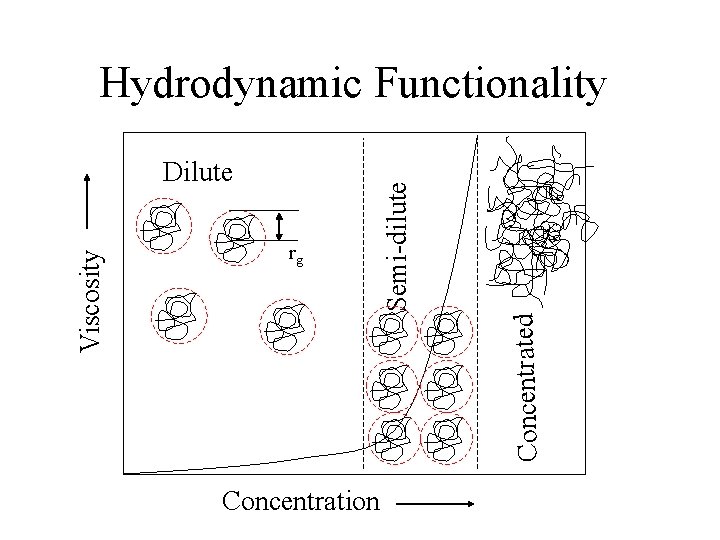 rg Concentrated Viscosity Dilute Semi-dilute Hydrodynamic Functionality Concentration 