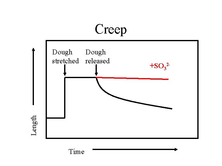 Creep Length Dough stretched released Time +SO 32 - 