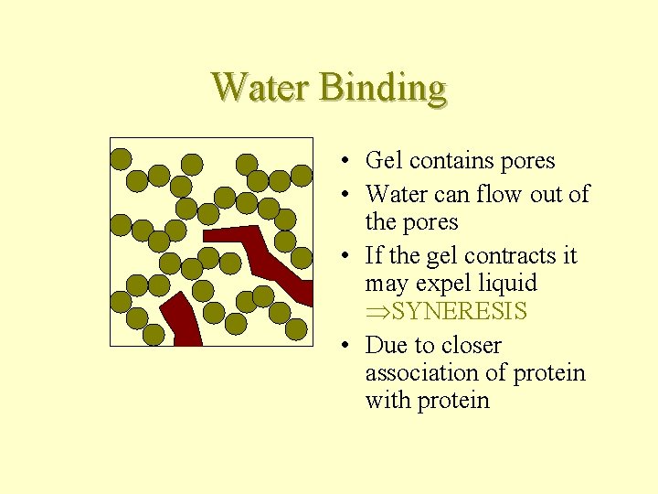 Water Binding • Gel contains pores • Water can flow out of the pores