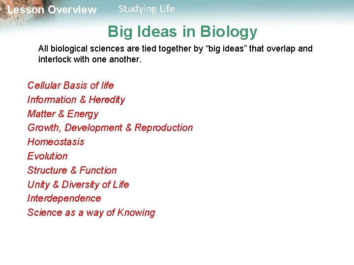 Lesson Overview Studying Life Big Ideas in Biology All biological sciences are tied together