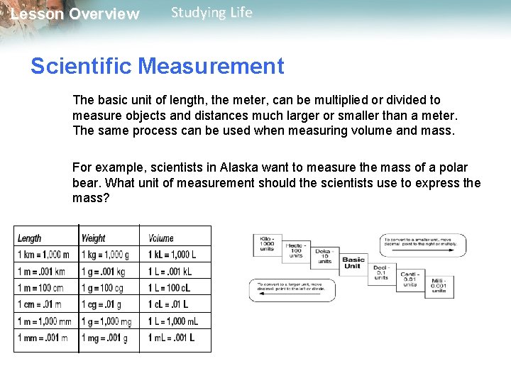 Lesson Overview Studying Life Scientific Measurement The basic unit of length, the meter, can