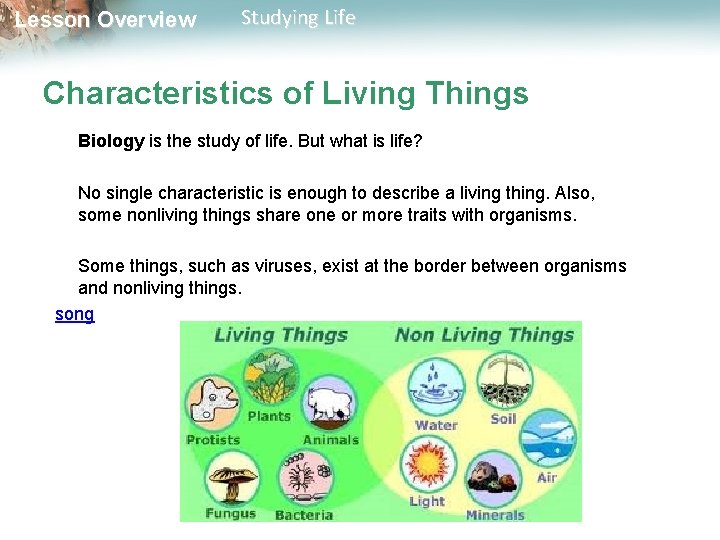 Lesson Overview Studying Life Characteristics of Living Things Biology is the study of life.