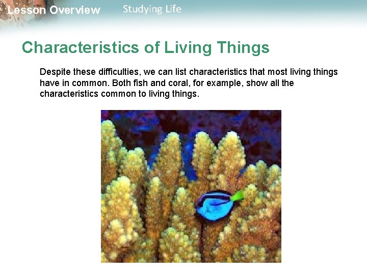 Lesson Overview Studying Life Characteristics of Living Things Despite these difficulties, we can list