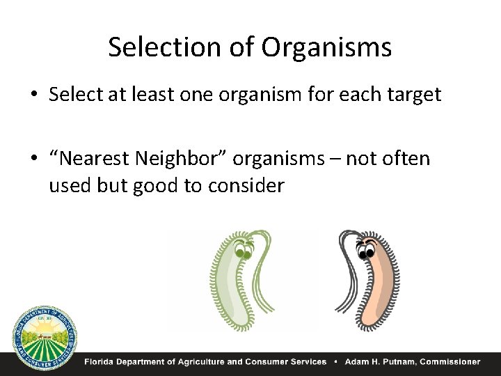 Selection of Organisms • Select at least one organism for each target • “Nearest