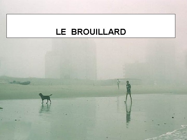 LE BROUILLARD 