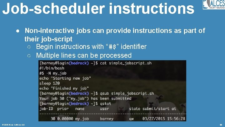 Job-scheduler instructions ● Non-interactive jobs can provide instructions as part of their job-script ○