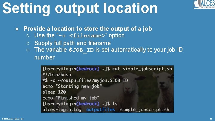 Setting output location ● Provide a location to store the output of a job