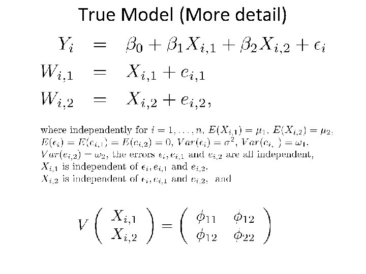 True Model (More detail) 