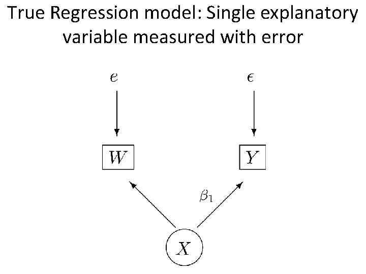 True Regression model: Single explanatory variable measured with error 