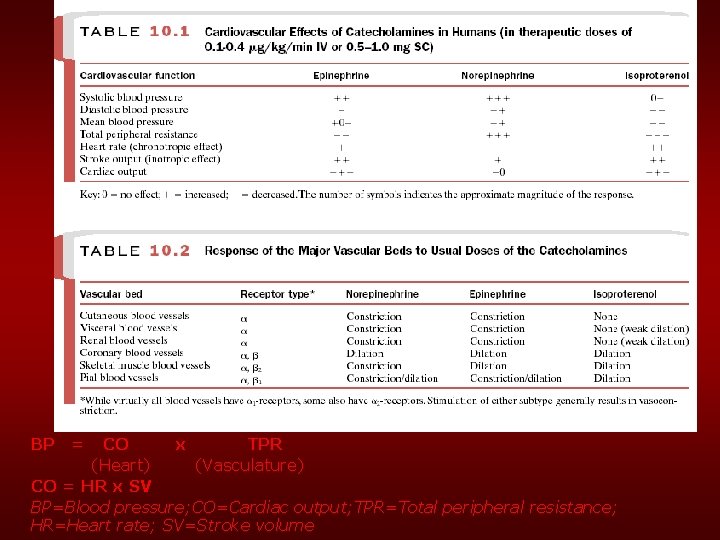 BP = CO x TPR (Heart) (Vasculature) CO = HR x SV BP=Blood pressure;