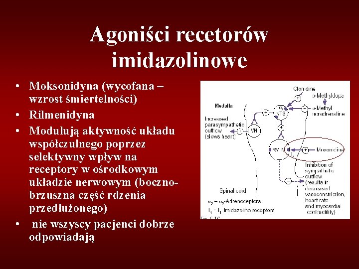 Agoniści recetorów imidazolinowe • Moksonidyna (wycofana – wzrost śmiertelności) • Rilmenidyna • Modulują aktywność