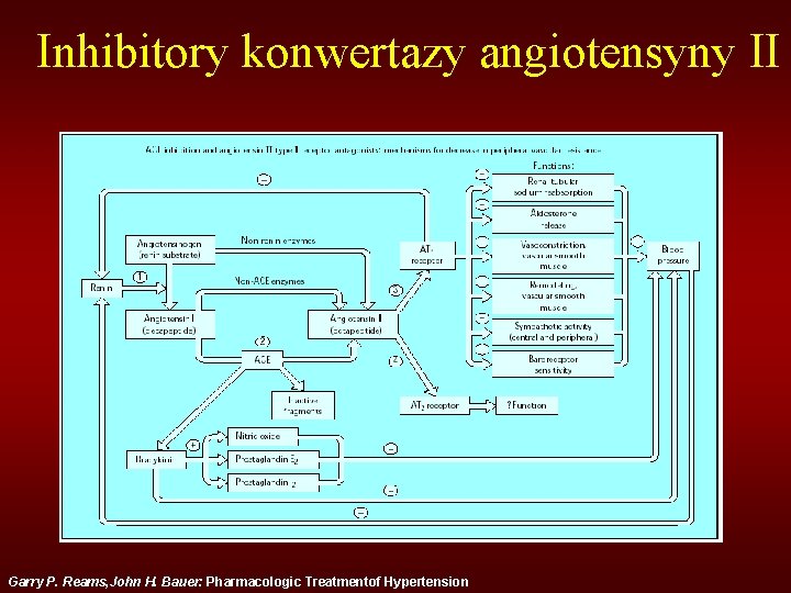 Inhibitory konwertazy angiotensyny II Garry P. Reams, John H. Bauer: Pharmacologic Treatmentof Hypertension 