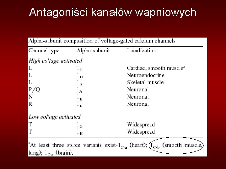 Antagoniści kanałów wapniowych 