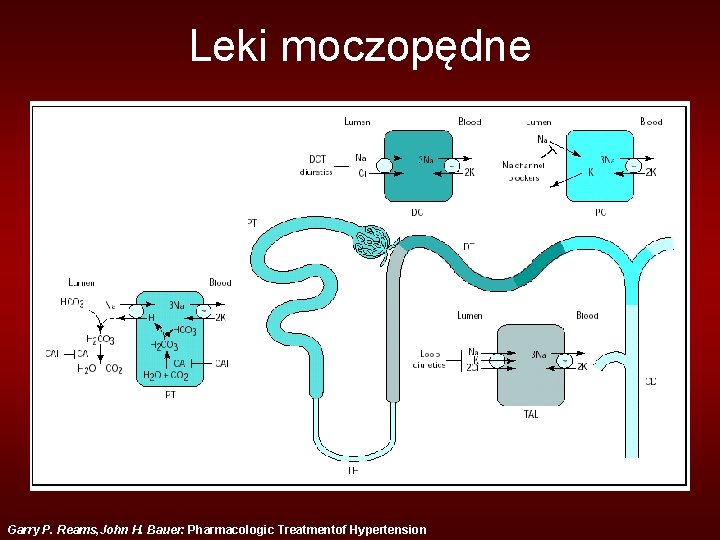 Leki moczopędne Garry P. Reams, John H. Bauer: Pharmacologic Treatmentof Hypertension 