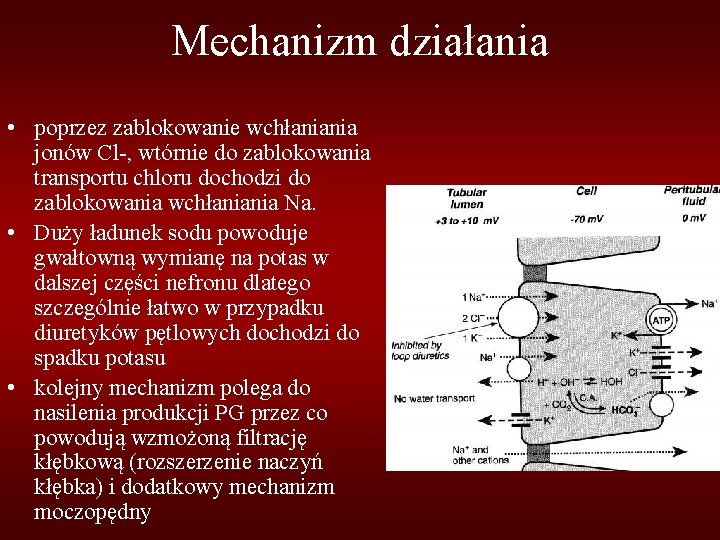 Mechanizm działania • poprzez zablokowanie wchłaniania jonów Cl-, wtórnie do zablokowania transportu chloru dochodzi