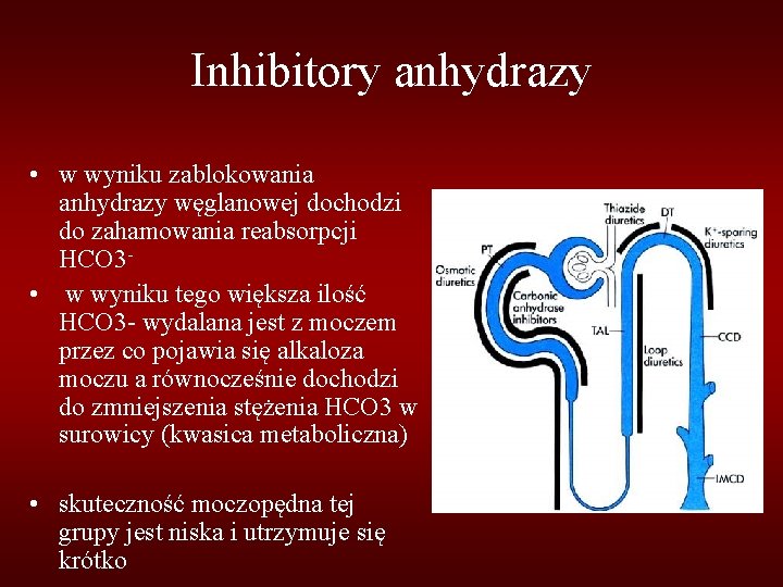 Inhibitory anhydrazy • w wyniku zablokowania anhydrazy węglanowej dochodzi do zahamowania reabsorpcji HCO 3