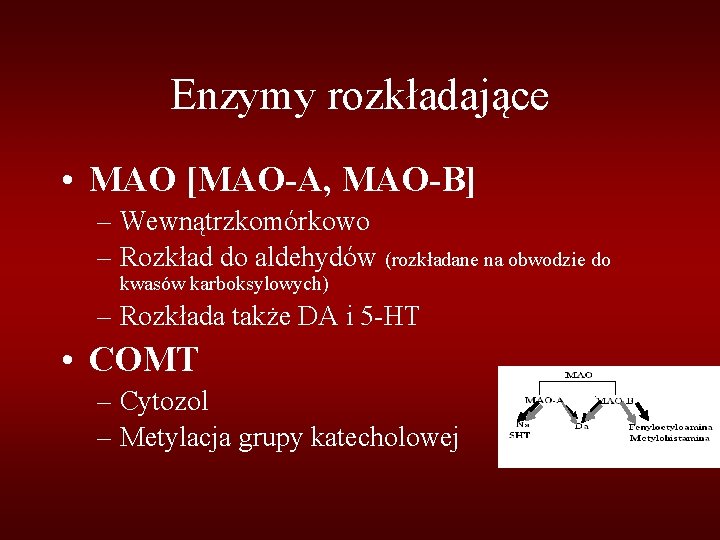 Enzymy rozkładające • MAO [MAO-A, MAO-B] – Wewnątrzkomórkowo – Rozkład do aldehydów (rozkładane na