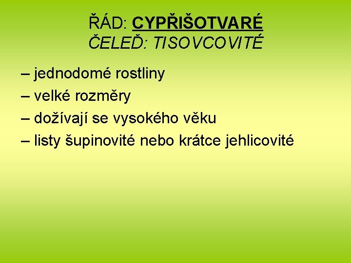 ŘÁD: CYPŘIŠOTVARÉ ČELEĎ: TISOVCOVITÉ – jednodomé rostliny – velké rozměry – dožívají se vysokého