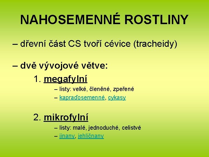 NAHOSEMENNÉ ROSTLINY – dřevní část CS tvoří cévice (tracheidy) – dvě vývojové větve: 1.