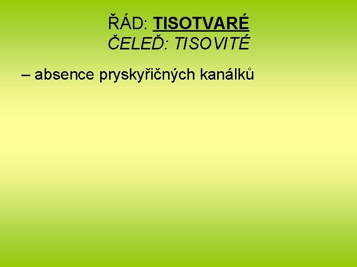 ŘÁD: TISOTVARÉ ČELEĎ: TISOVITÉ – absence pryskyřičných kanálků 