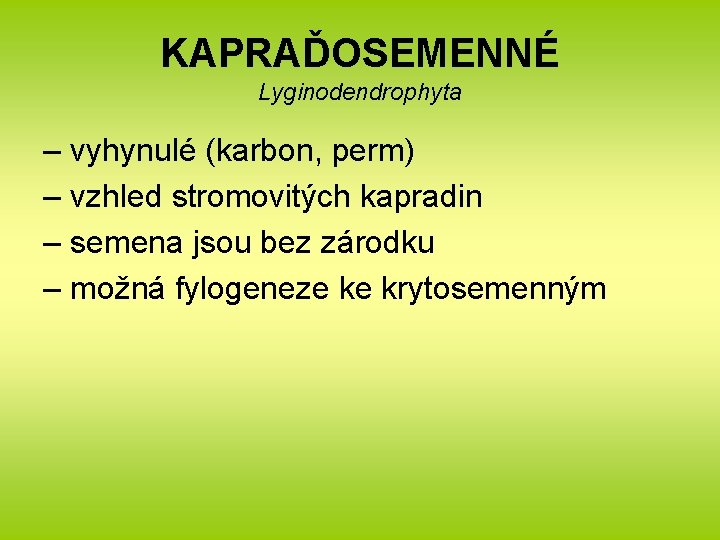 KAPRAĎOSEMENNÉ Lyginodendrophyta – vyhynulé (karbon, perm) – vzhled stromovitých kapradin – semena jsou bez