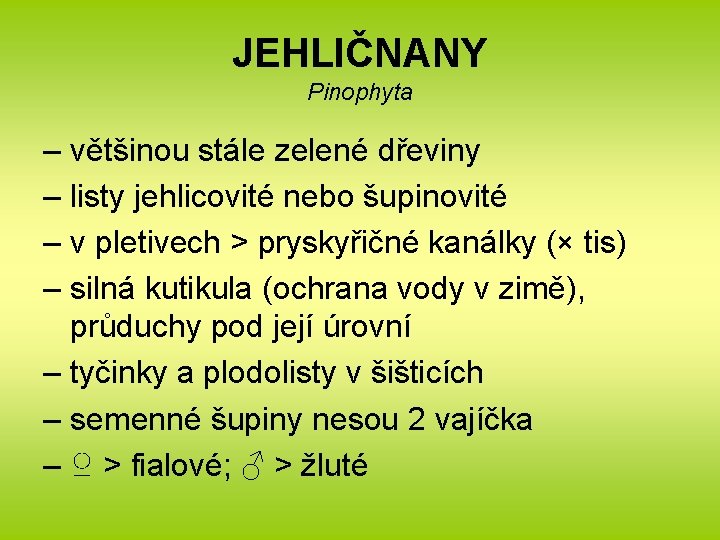 JEHLIČNANY Pinophyta – většinou stále zelené dřeviny – listy jehlicovité nebo šupinovité – v