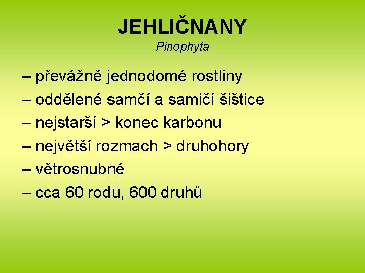 JEHLIČNANY Pinophyta – převážně jednodomé rostliny – oddělené samčí a samičí šištice – nejstarší