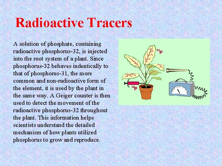 Radioactive Tracers A solution of phosphate, containing radioactive phosphorus-32, is injected into the root Radioactive Tracers A solution of phosphate, containing radioactive phosphorus-32, is injected into the root