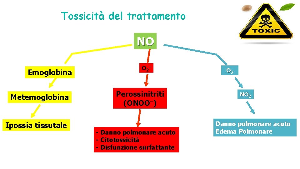 Tossicità del trattamento NO Emoglobina Metemoglobina Ipossia tissutale O 2 – Perossinitriti (ONOO–) -