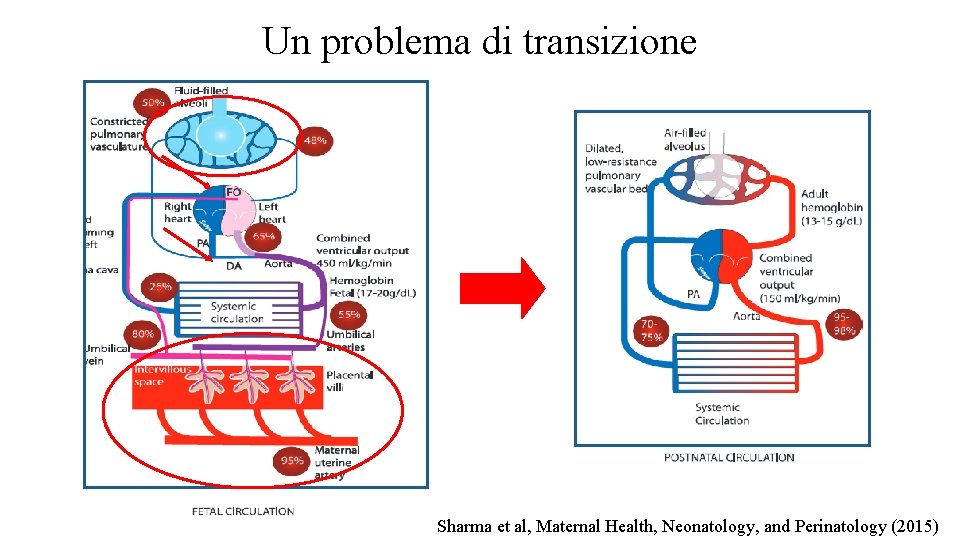 Un problema di transizione Sharma et al, Maternal Health, Neonatology, and Perinatology (2015) 