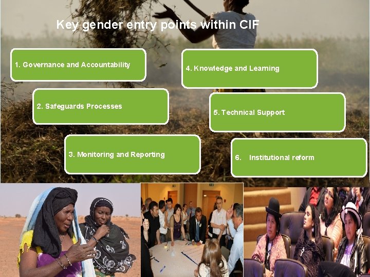 Key gender entry points within CIF 1. Governance and Accountability 2. Safeguards Processes 3.