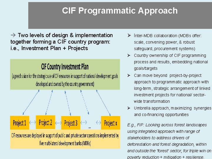 CIF Programmatic Approach Two levels of design & implementation together forming a CIF country