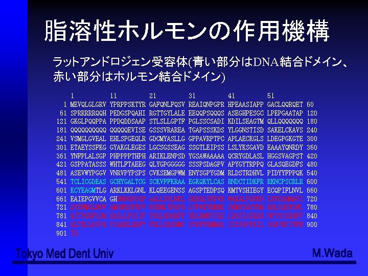 slidetodoc com