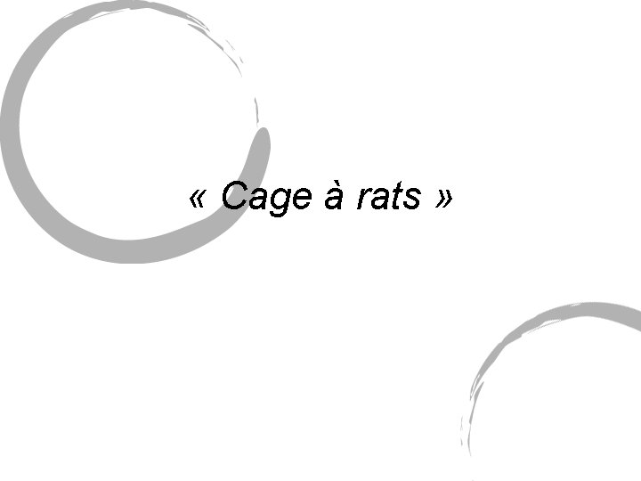 « Cage à rats » « Cage à rats »