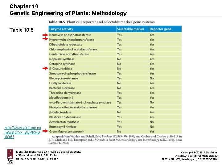 Chapter 10 Genetic Engineering of Plants: Methodology Table 10. 5 http: //www. youtube. co