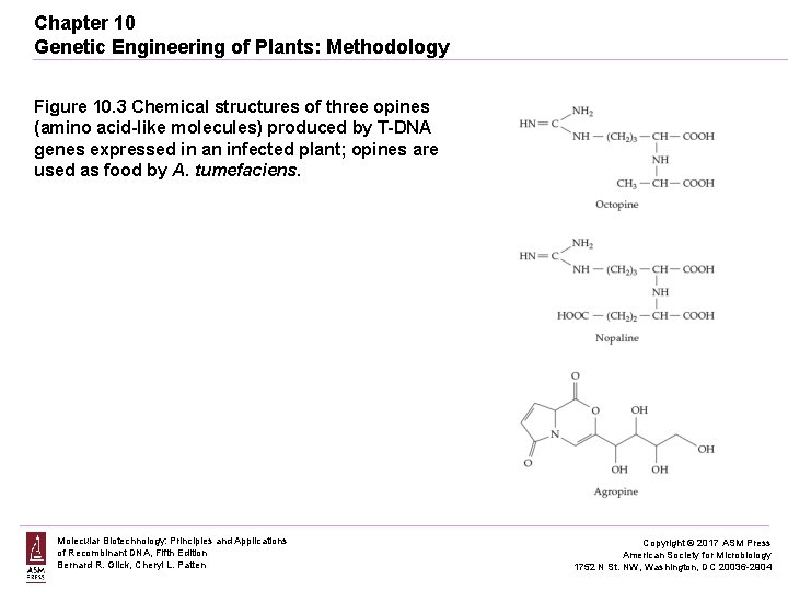 Chapter 10 Genetic Engineering of Plants: Methodology Figure 10. 3 Chemical structures of three