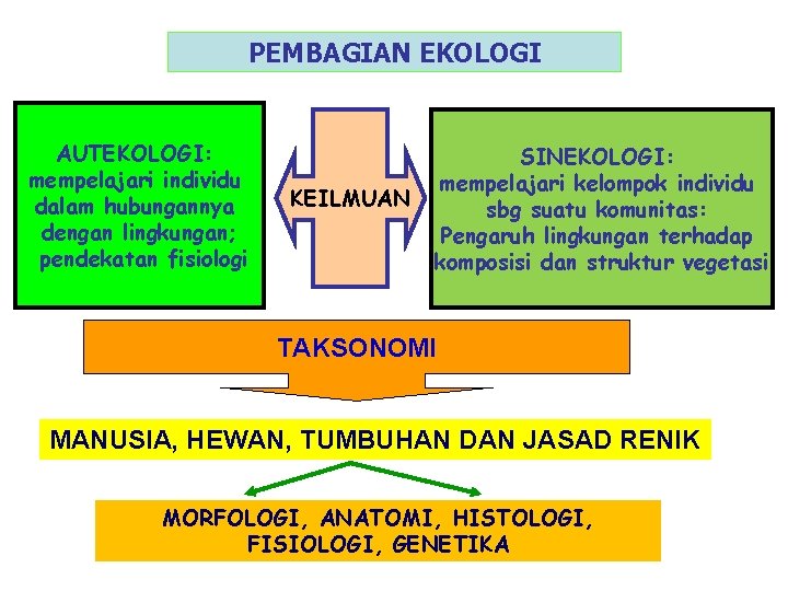 PEMBAGIAN EKOLOGI AUTEKOLOGI: mempelajari individu dalam hubungannya dengan lingkungan; pendekatan fisiologi KEILMUAN SINEKOLOGI: mempelajari