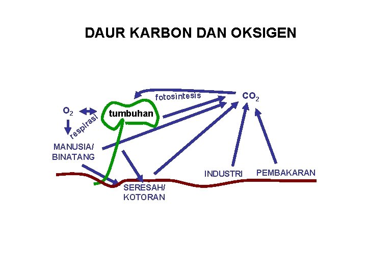 DAUR KARBON DAN OKSIGEN fotosintesis O 2 i as CO 2 tumbuhan ir p