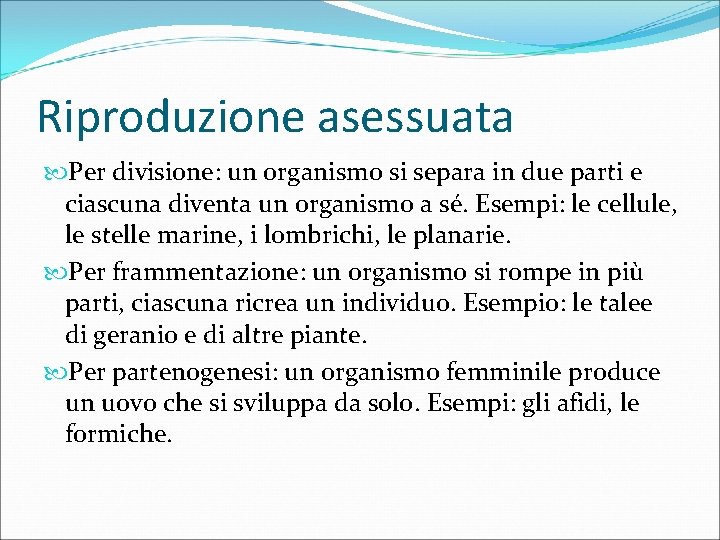 Riproduzione asessuata Per divisione: un organismo si separa in due parti e ciascuna diventa