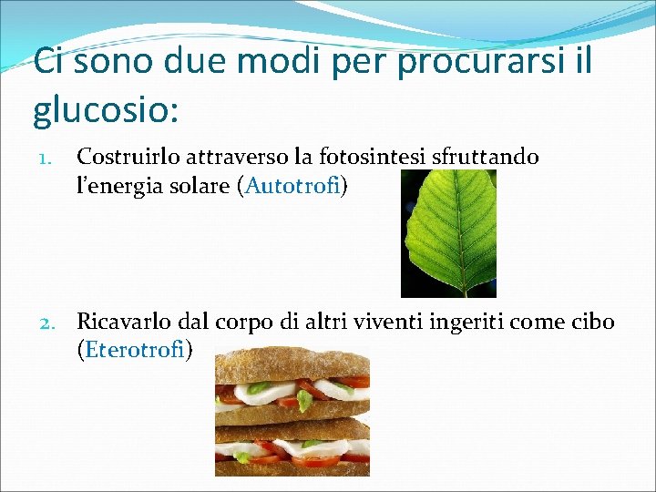 Ci sono due modi per procurarsi il glucosio: 1. Costruirlo attraverso la fotosintesi sfruttando