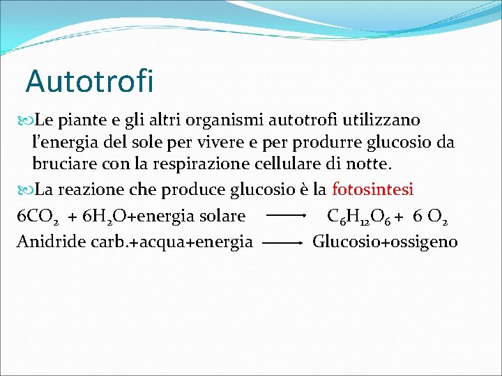 Autotrofi Le piante e gli altri organismi autotrofi utilizzano l’energia del sole per vivere