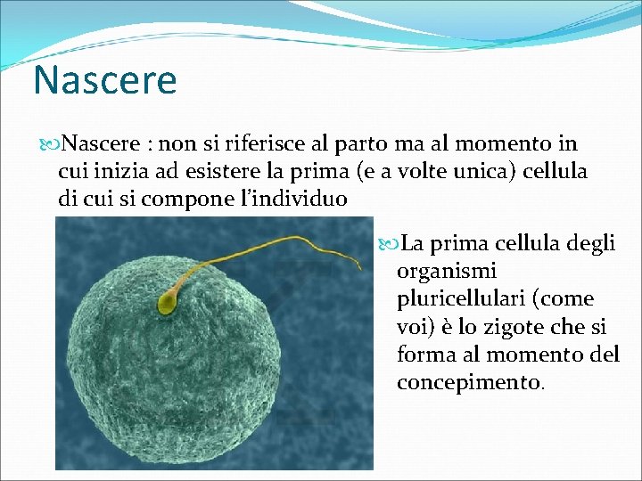 Nascere : non si riferisce al parto ma al momento in cui inizia ad