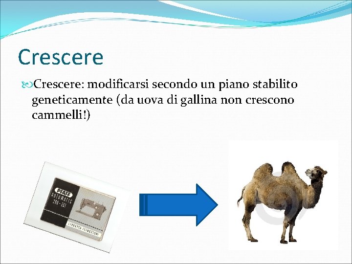 Crescere: modificarsi secondo un piano stabilito geneticamente (da uova di gallina non crescono cammelli!)