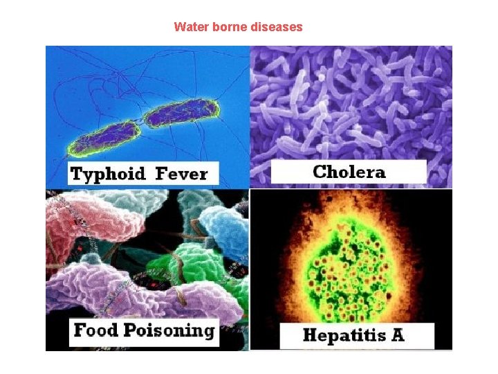 Water borne diseases 